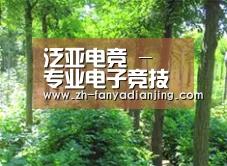 种植基地九