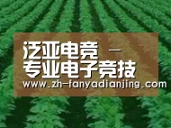种植基地六(图1)