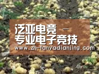 种植基地八(图1)