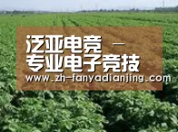 种植基地五