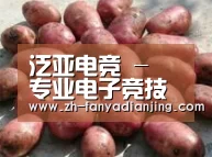 产品展示标题5(图1)