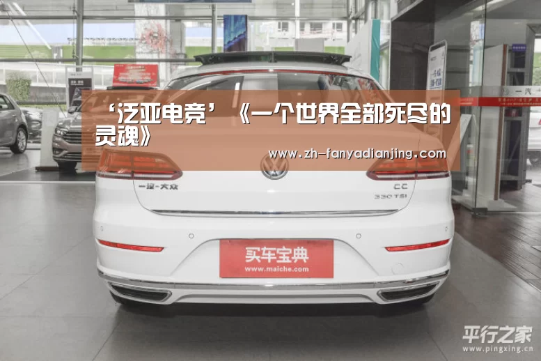 ‘泛亚电竞’《一个世界全部死尽的灵魂》(图3) 泛亚电竞
