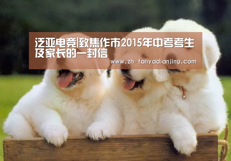 泛亚电竞
